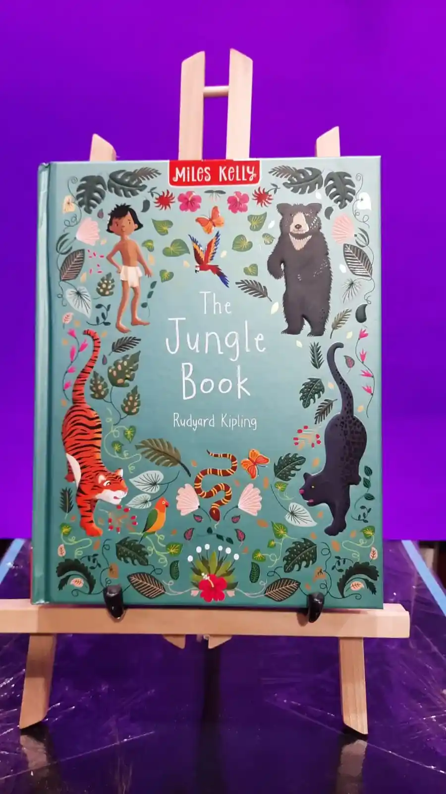 Children's storybooks and reading collections available at New Classic Book Shop